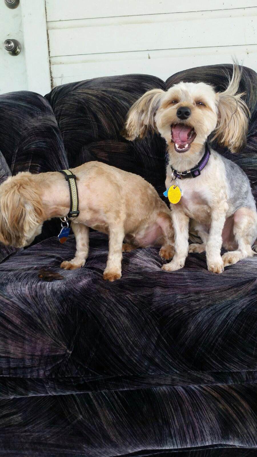 Messi and Meelo